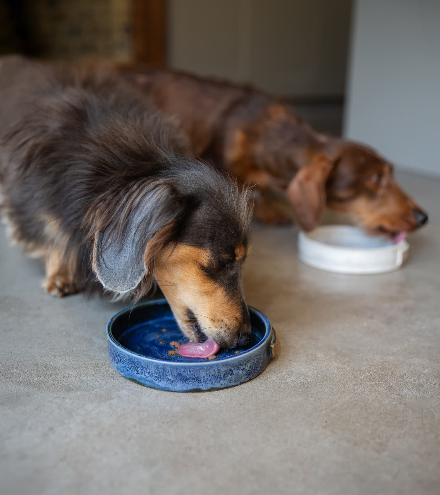 No bowl left full - The Difference